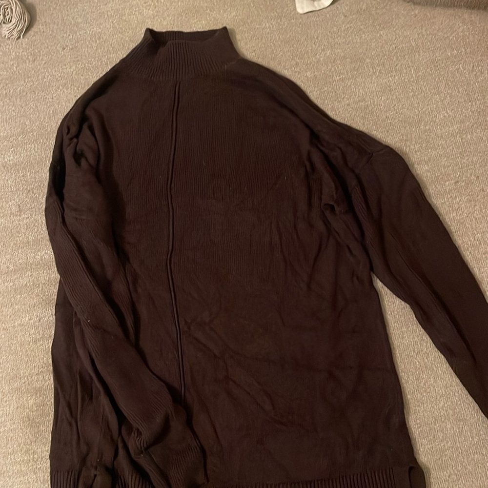 Ann Taylor Tunic Sweater
